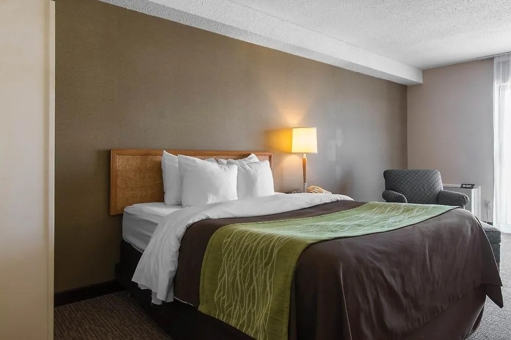 Comfort Inn דארטמאות'