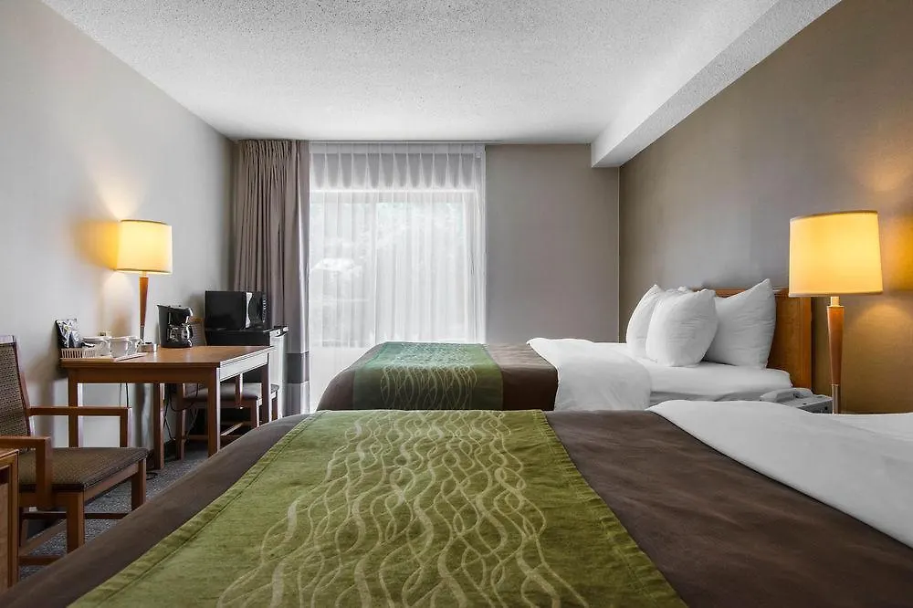 מוטל Comfort Inn דארטמאות'